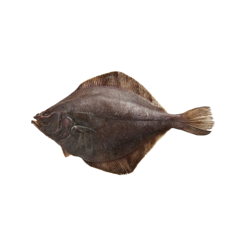 YELLOWFIN SOLE